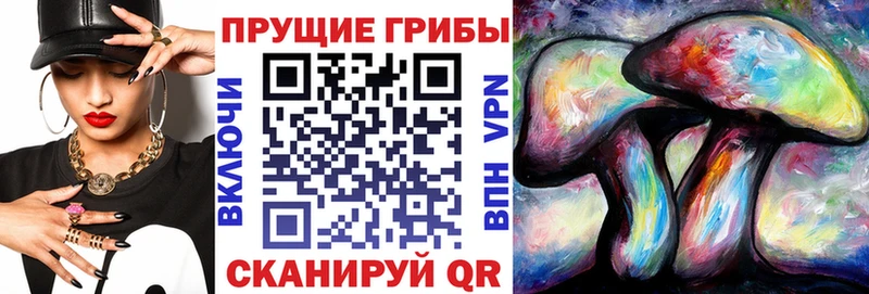 Купить  Углегорск  Галлюциногенные грибы ЛСД 